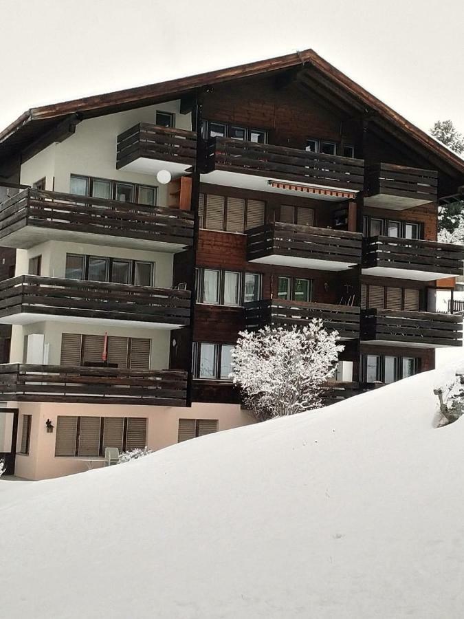 Haus Opal Wohnung Nr. 31 Grächen Buitenkant foto